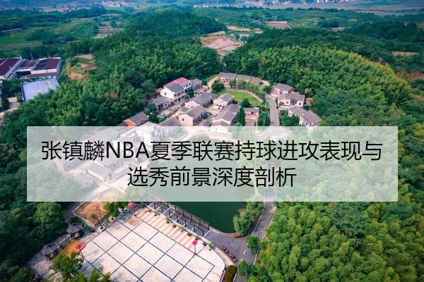 张镇麟NBA夏季联赛持球进攻表现与选秀前景深度剖析