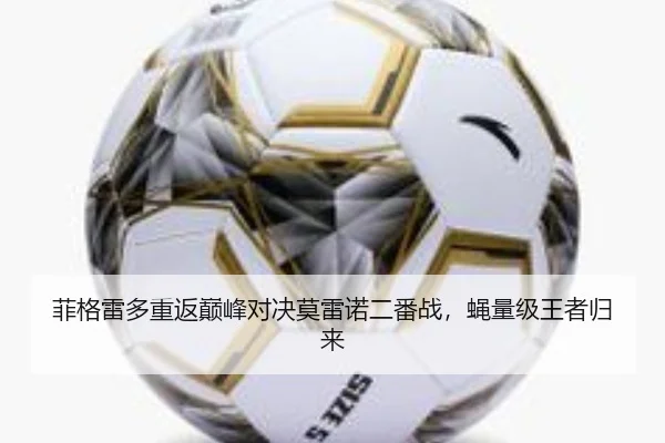 菲格雷多重返巅峰对决莫雷诺二番战，蝇量级王者归来