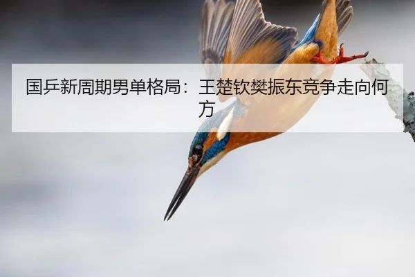 guo-ping-xin-zhou-qi-nan-dan-ge-ju-wang-chu-qin-fan-zhen-dong-jing-zheng-zou-xiang-he-fang-2-111.jpg